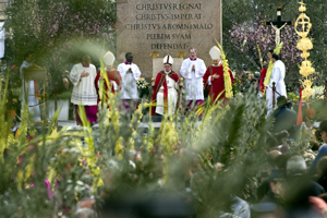 Pope Francis begins Palm Sunday Mass at Vatican