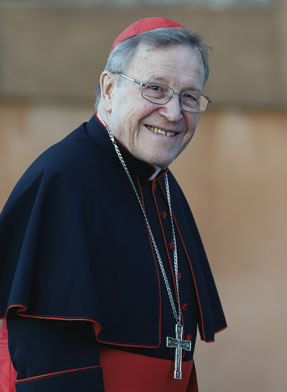 Cardinal Kasper Says “Yes”