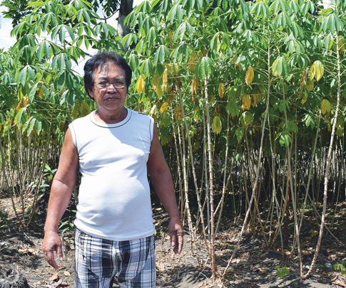 Jose Camenting, who is part of CRS’s intercropping program, hopes to make enough money to send his children to college.