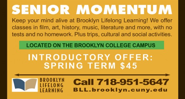 brooklyn-lifelong-learning-nov-2016-ai