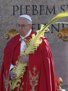 POPE PALM SUNDAY VATICAN