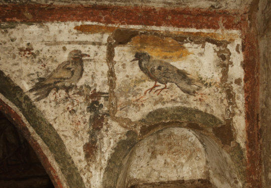 Frescoes of birds are seen during the unveiling of two newly restored burial chambers in the Christian catacombs of St. Domitilla in Rome May 30.