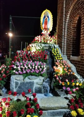 12.12.2017 OLS Guadalupe Mass (6)