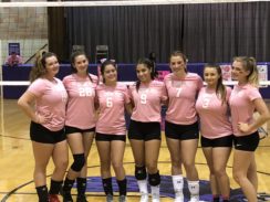‘Dig Pink’ Games Support Breast Cancer