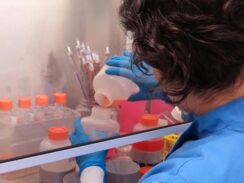 Vaccine Research Raises Potential Ethical Question for Pro-Lifers