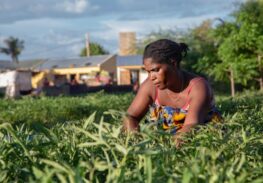 CRS’s Lenten Rice Bowl Helps Feed 150 Million Worldwide