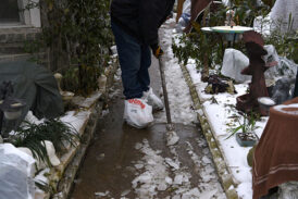 Amid Record Snow, Texas Scrambles to Reconfigure Ash Wednesday