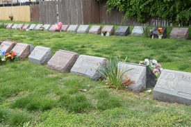 Catholics Blast Bill Allowing Composting of Human Remains
