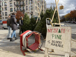 More Than One ‘Grinch’ To Blame For Christmas Tree Price Hikes