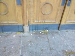 Vandal Throws Eggs at Church of Saints Simon and Jude