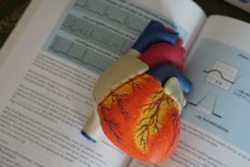 Organ Donations Align With Catholic Church’s Teachings on Sanctity of Life