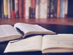 SJU Has Scholarship for Catholic School Teachers’ Master’s Studies