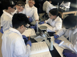 Only In Print: Cognia Accreditation Earned by Queens Catholic Academy