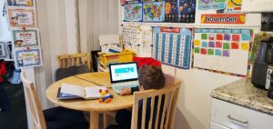 Online Academy Prompted By Pandemic Shuts Down