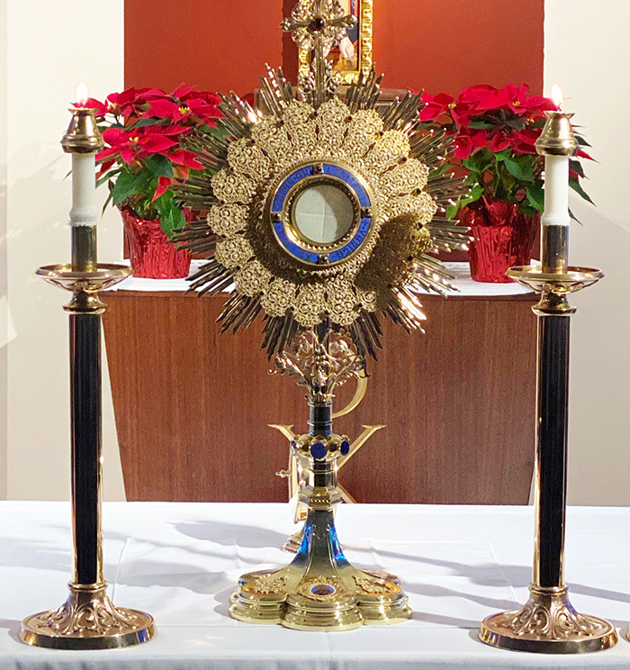 Only In Print - Priests: Eucharistic Adoration Reveals Vocations For ...