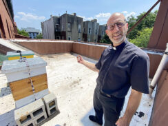 Brooklyn Priest’s Beekeeping Hobby Is ‘A Way to Worship or Praise God’