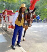 Only in Print: Yea, or Neigh on Horse Carriages?