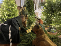 Faithful Can Receive an Indulgence in the Diocese