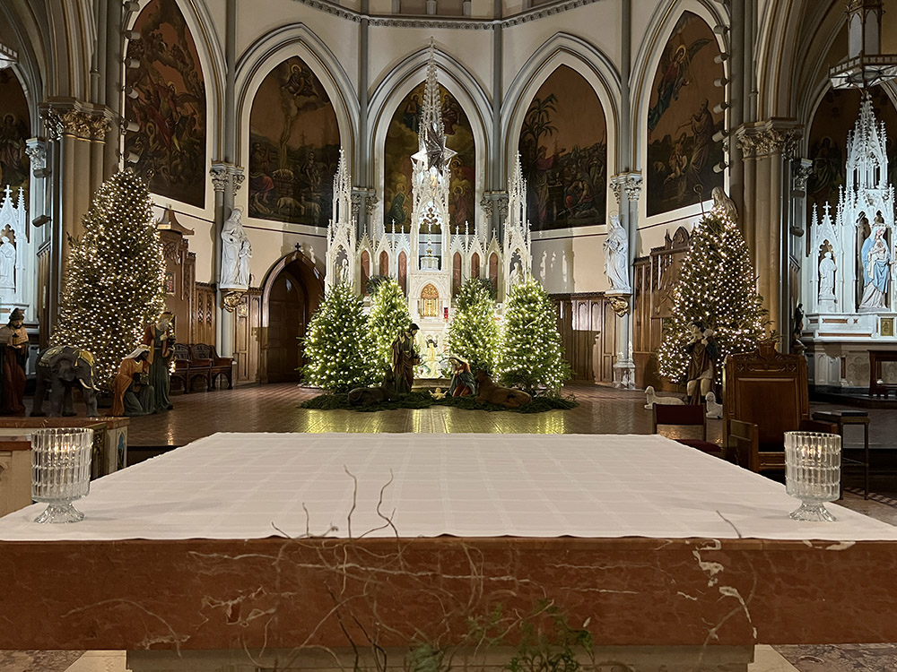 The Nativity Scene at Most Holy Trinity in Williamsburg in the back of the photo, which includes illuminated trees. It sits behind the altar, towards the front of the photo