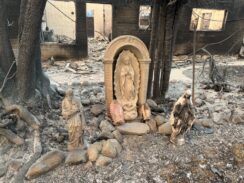 Recovered Statue of Blessed Virgin Mary Sign of Hope, Miracles Following Deadly L.A. Fires