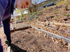 New NYC Composting Law Seen as ‘Step Toward Care for Our Common Home’ 