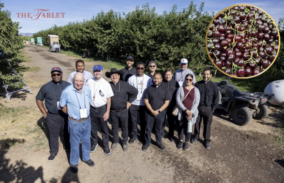 Bishop Brennan, Priests Witness ‘Work of Human Hands’ in Yakima  