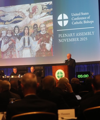 Bishops Issue ‘Special Message’ on Immigration, New Health Care Guidelines at Fall Assembly