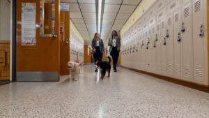 Noah’s Ark Comes to Life at LI Catholic High School