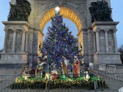 Diocese of Brooklyn’s Christmas Tree a ‘Gift’ Spreading Hope, Joy in Grand Army Plaza