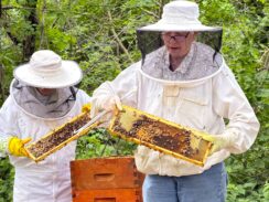 Grant Helps Sisters of St. Joseph ‘Bee’ The Change for ‘Native Pollinators’ on Long Island