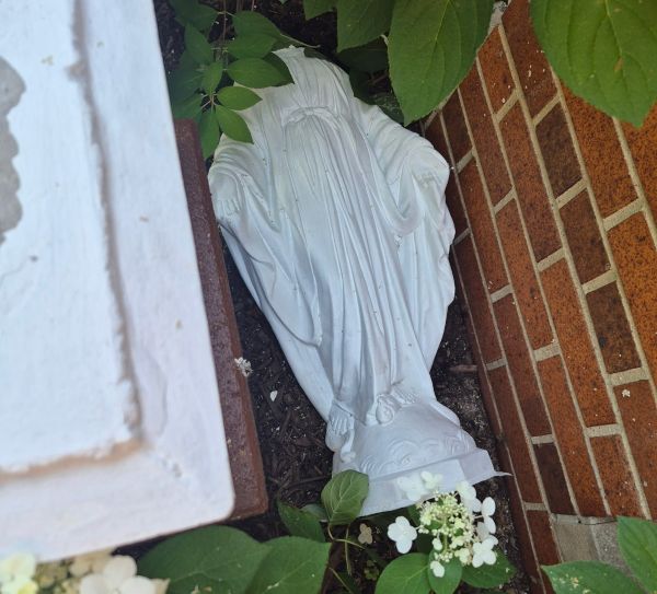 Vandalism News Image